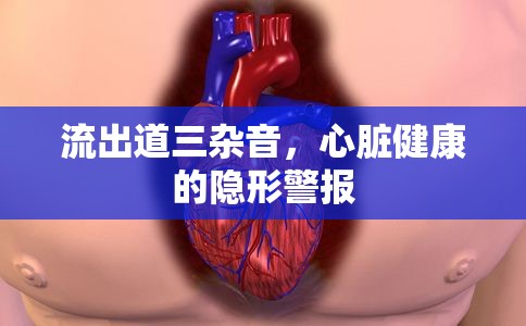 流出道三雜音，心臟健康的隱形警報(bào)