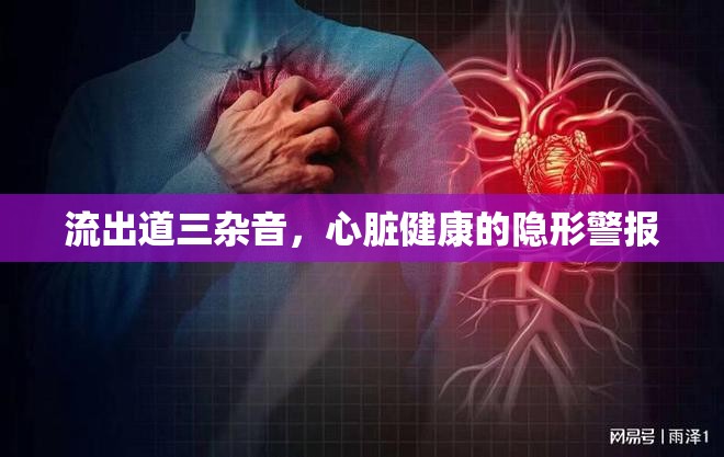 流出道三雜音，心臟健康的隱形警報(bào)
