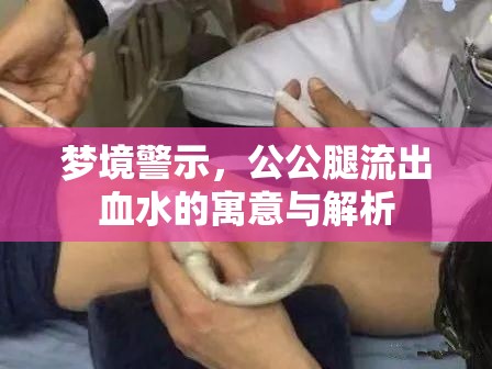 夢(mèng)境警示，公公腿流出血水的寓意與解析