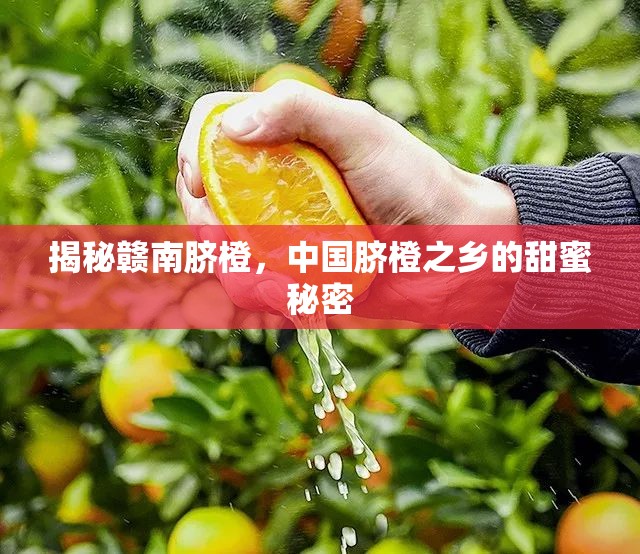 揭秘贛南臍橙，中國臍橙之鄉(xiāng)的甜蜜秘密