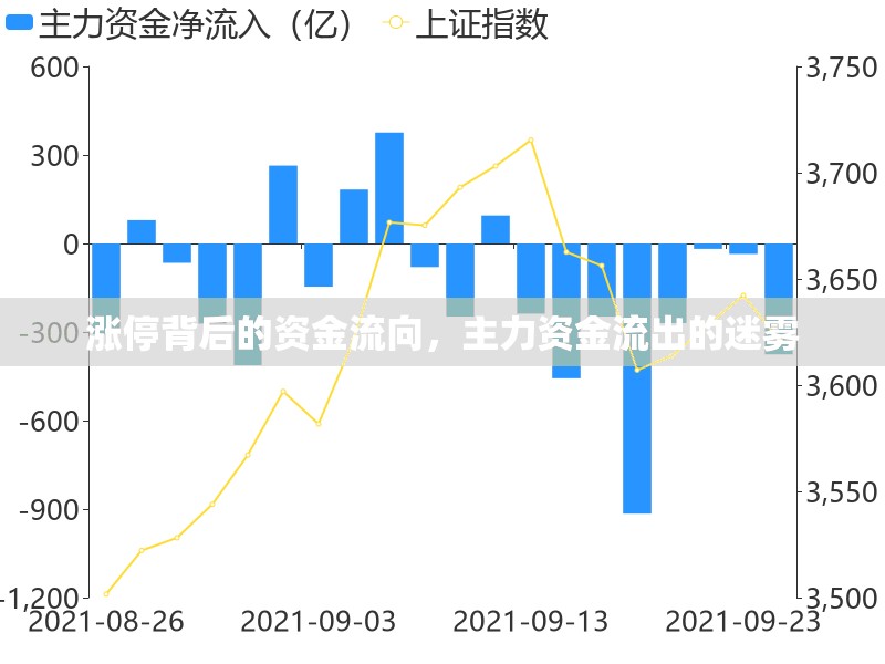 漲停背后的資金流向，主力資金流出的迷霧