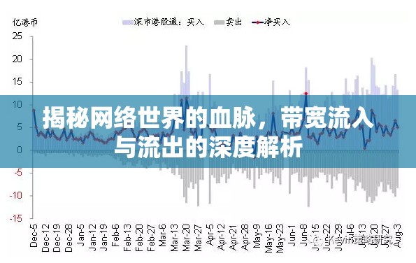 揭秘網(wǎng)絡(luò)世界的血脈，帶寬流入與流出的深度解析