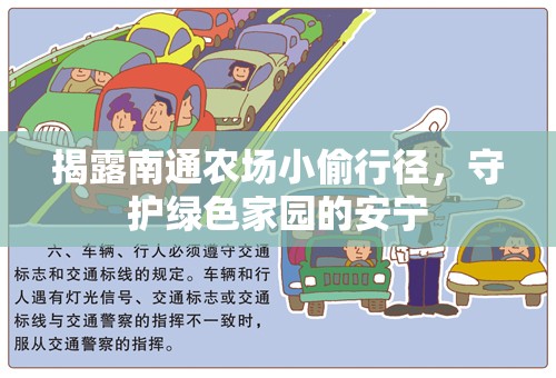 揭露南通農(nóng)場小偷行徑，守護綠色家園的安寧