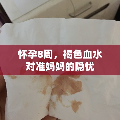 懷孕8周，褐色血水對(duì)準(zhǔn)媽媽的隱憂(yōu)