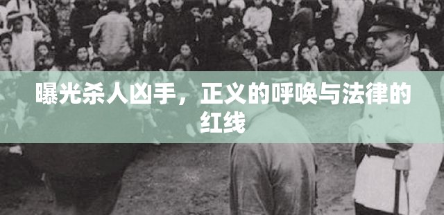 曝光殺人兇手，正義的呼喚與法律的紅線