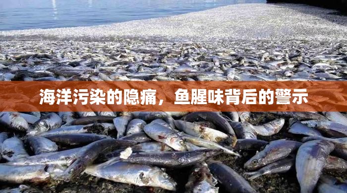 海洋污染的隱痛，魚腥味背后的警示