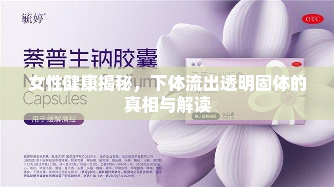 女性健康揭秘，下體流出透明固體的真相與解讀