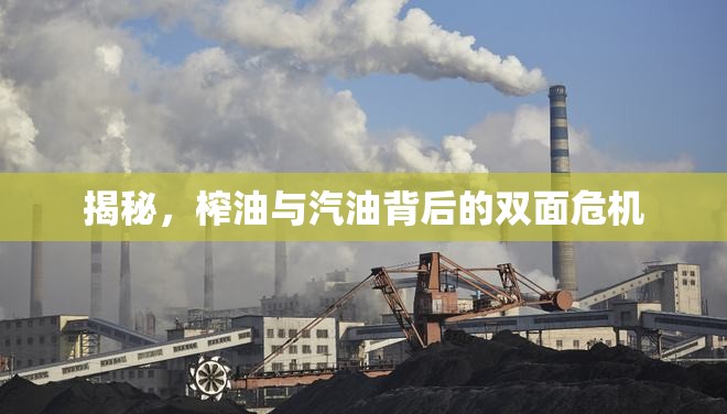 揭秘，榨油與汽油背后的雙面危機(jī)
