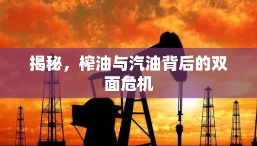 揭秘，榨油與汽油背后的雙面危機(jī)