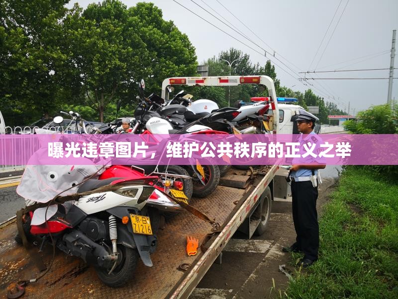 曝光違章圖片，維護(hù)公共秩序的正義之舉
