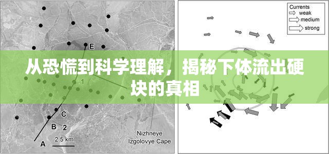 從恐慌到科學理解，揭秘下體流出硬塊的真相