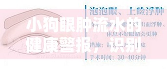 小狗眼腫流水的健康警報，識別與應(yīng)對策略