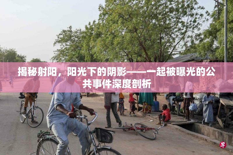 揭秘射陽(yáng)，陽(yáng)光下的陰影——一起被曝光的公共事件深度剖析