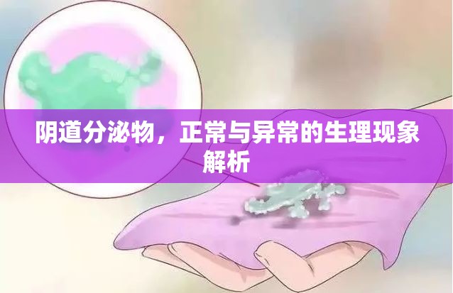 陰道分泌物，正常與異常的生理現(xiàn)象解析