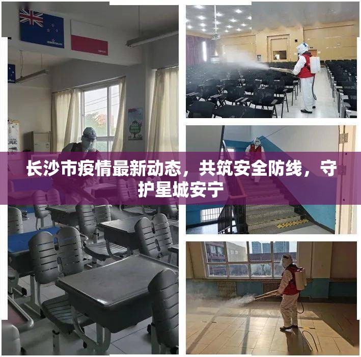 長沙市疫情最新動態(tài)，共筑安全防線，守護(hù)星城安寧