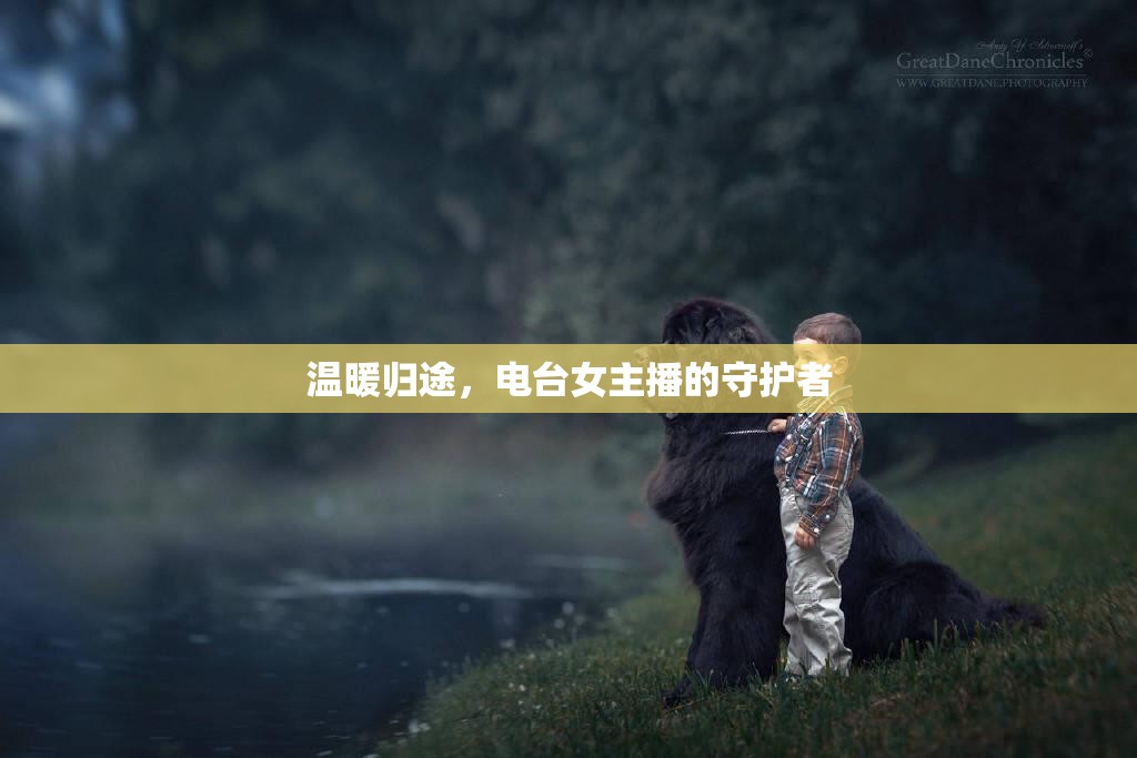 溫暖歸途，電臺女主播的守護(hù)者