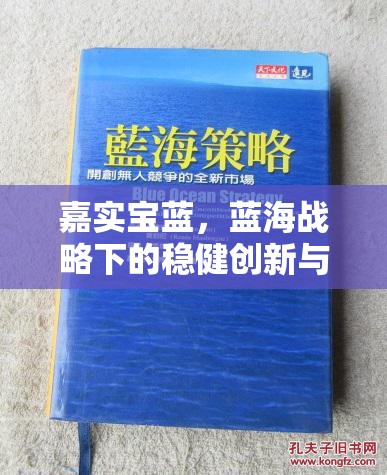 嘉實寶藍(lán)，藍(lán)海戰(zhàn)略下的穩(wěn)健創(chuàng)新與突破