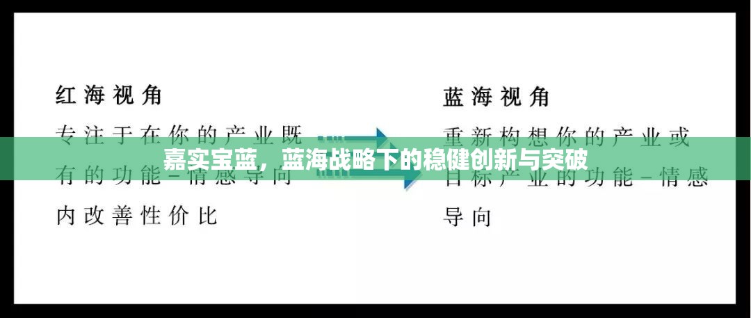 嘉實寶藍(lán)，藍(lán)海戰(zhàn)略下的穩(wěn)健創(chuàng)新與突破