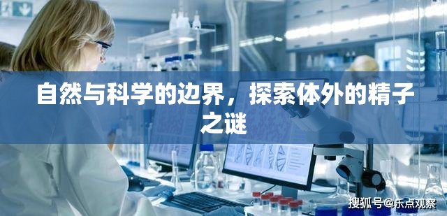 自然與科學(xué)的邊界，探索體外的精子之謎