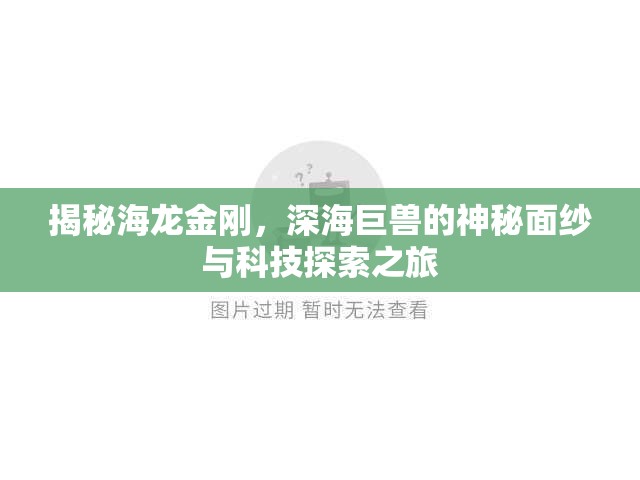 揭秘海龍金剛，深海巨獸的神秘面紗與科技探索之旅