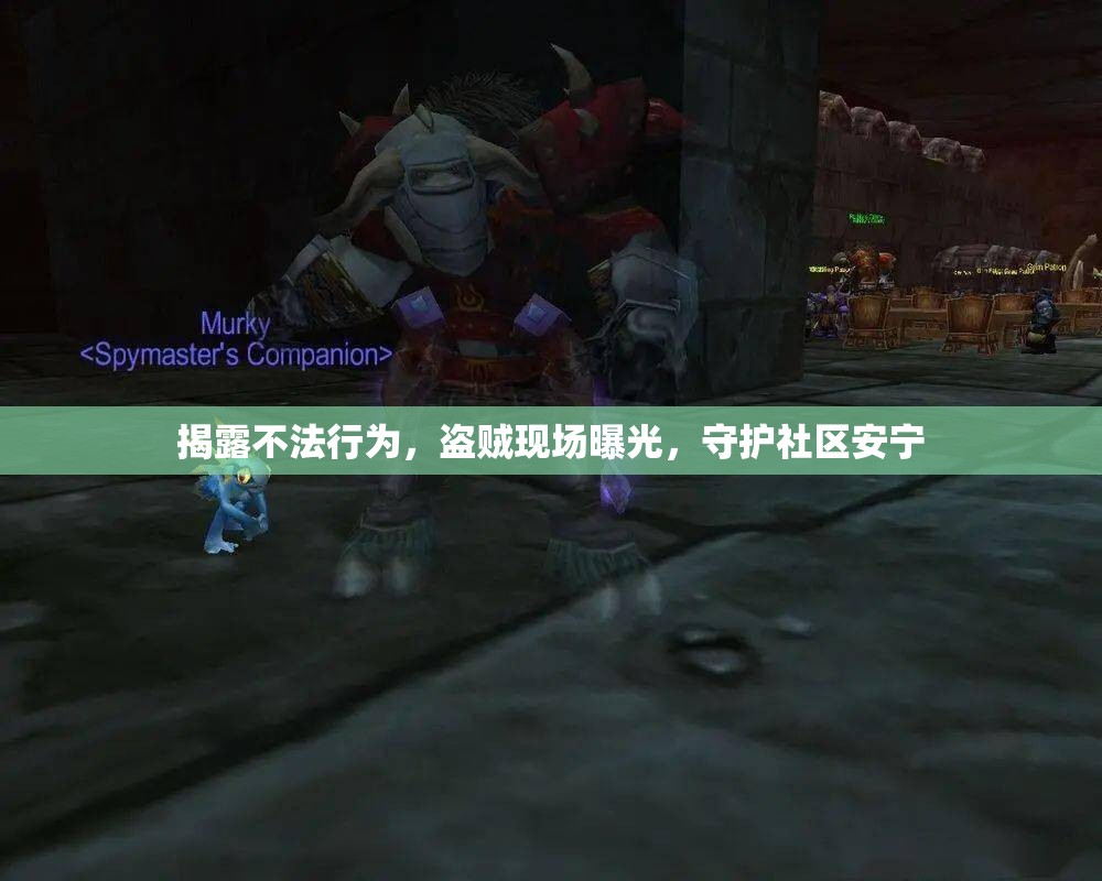 揭露不法行為，盜賊現(xiàn)場(chǎng)曝光，守護(hù)社區(qū)安寧