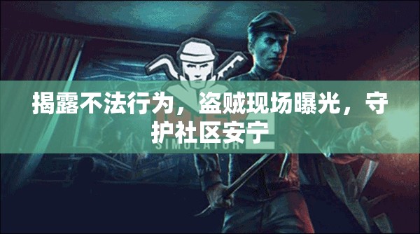 揭露不法行為，盜賊現(xiàn)場(chǎng)曝光，守護(hù)社區(qū)安寧