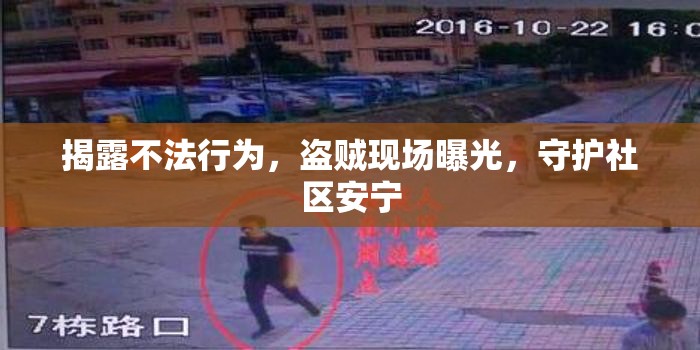 揭露不法行為，盜賊現(xiàn)場(chǎng)曝光，守護(hù)社區(qū)安寧