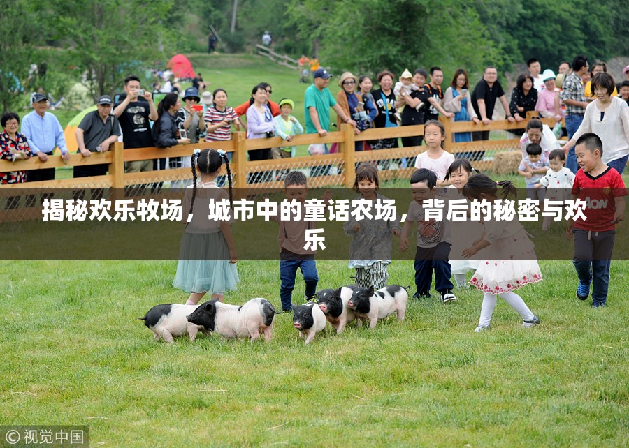 揭秘歡樂(lè)牧場(chǎng)，城市中的童話農(nóng)場(chǎng)，背后的秘密與歡樂(lè)
