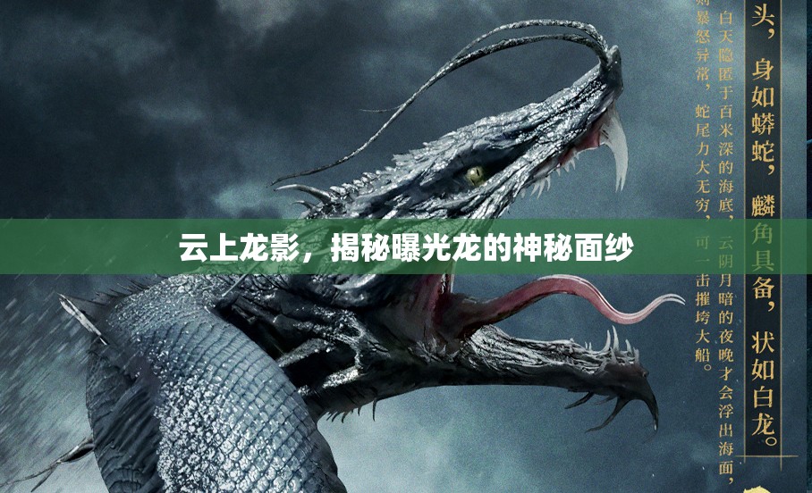 云上龍影，揭秘曝光龍的神秘面紗