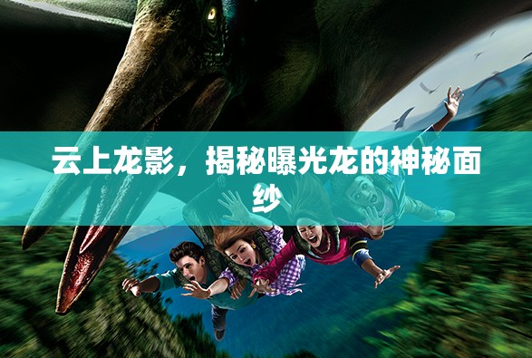 云上龍影，揭秘曝光龍的神秘面紗