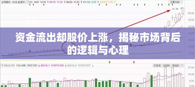 資金流出卻股價(jià)上漲，揭秘市場(chǎng)背后的邏輯與心理