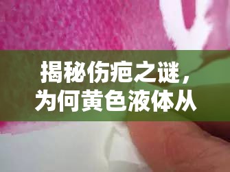 揭秘傷疤之謎，為何黃色液體從傷口中流出？
