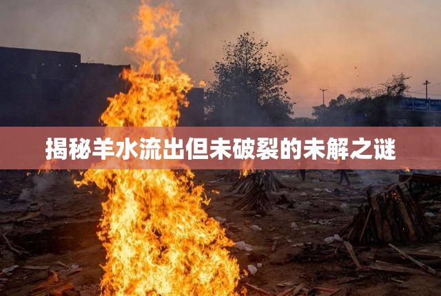 揭秘羊水流出但未破裂的未解之謎