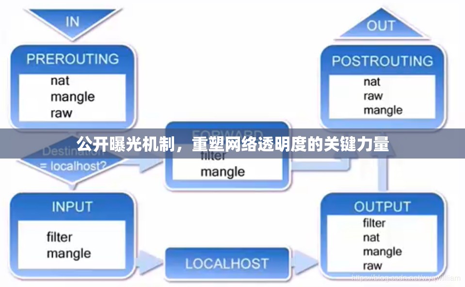 公開曝光機(jī)制，重塑網(wǎng)絡(luò)透明度的關(guān)鍵力量