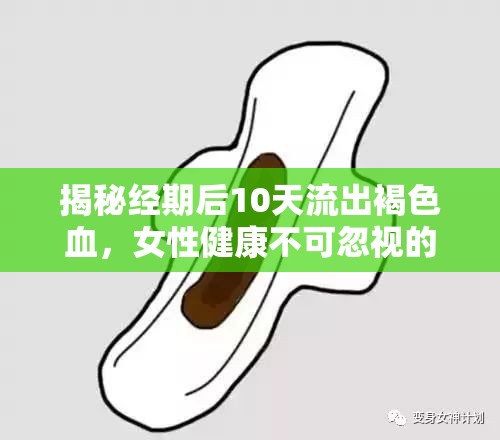 揭秘經(jīng)期后10天流出褐色血，女性健康不可忽視的真相