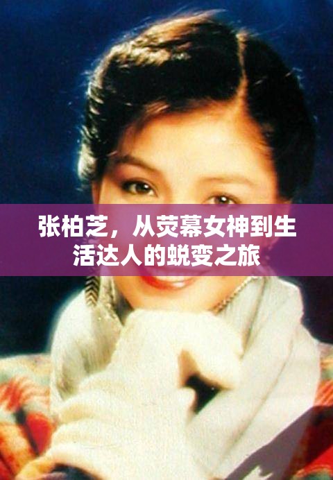 張柏芝，從熒幕女神到生活達人的蛻變之旅
