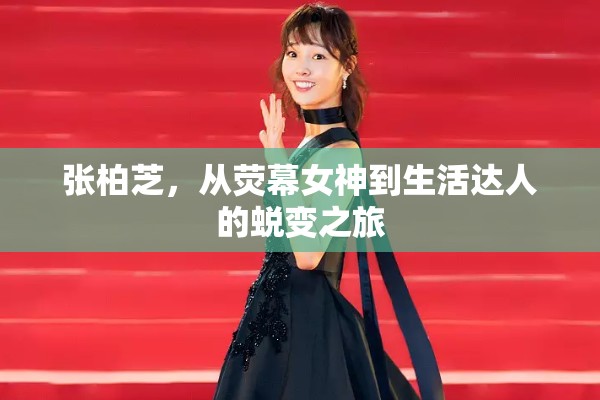 張柏芝，從熒幕女神到生活達人的蛻變之旅