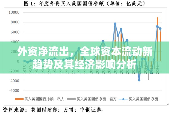 外資凈流出，全球資本流動新趨勢及其經(jīng)濟(jì)影響分析