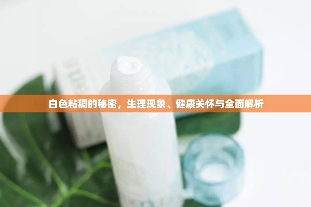 白色粘稠的秘密，生理現(xiàn)象、健康關(guān)懷與全面解析