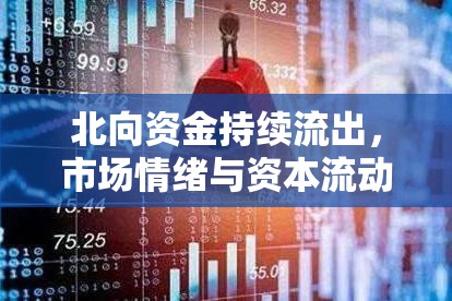 北向資金持續(xù)流出，市場(chǎng)情緒與資本流動(dòng)的深度剖析