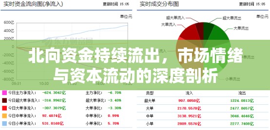 北向資金持續(xù)流出，市場(chǎng)情緒與資本流動(dòng)的深度剖析