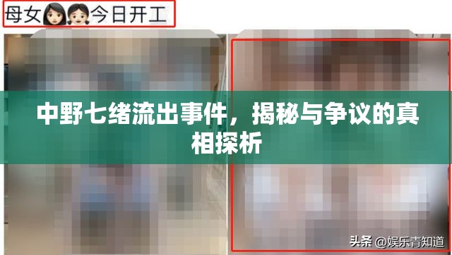 中野七緒流出事件，揭秘與爭議的真相探析