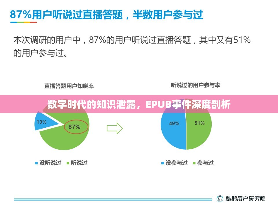 數(shù)字時(shí)代的知識(shí)泄露，EPUB事件深度剖析