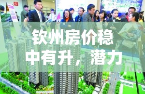 欽州房價穩(wěn)中有升，潛力待發(fā)掘的房地產市場新動向