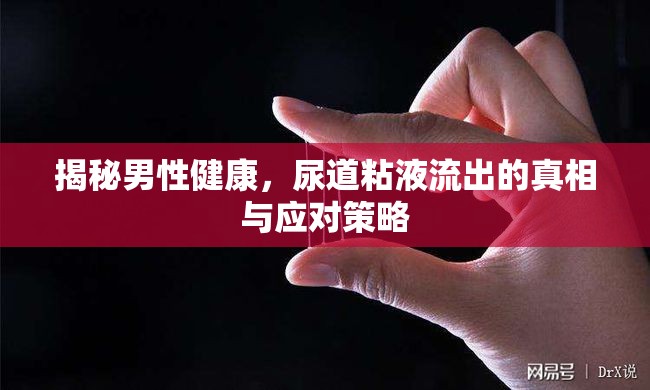 揭秘男性健康，尿道粘液流出的真相與應(yīng)對(duì)策略