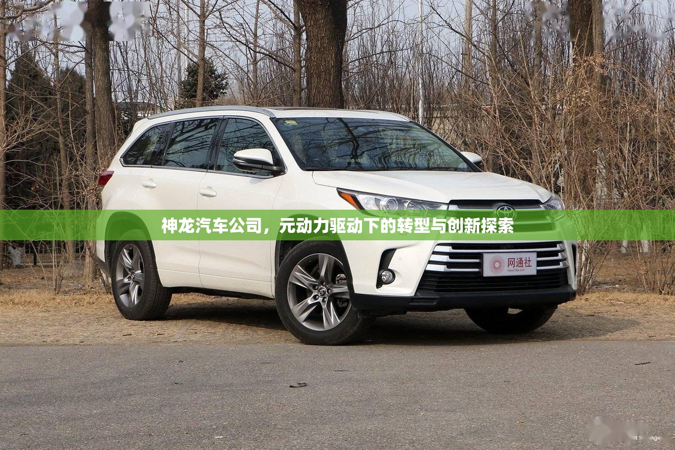神龍汽車公司，元動力驅(qū)動下的轉型與創(chuàng)新探索