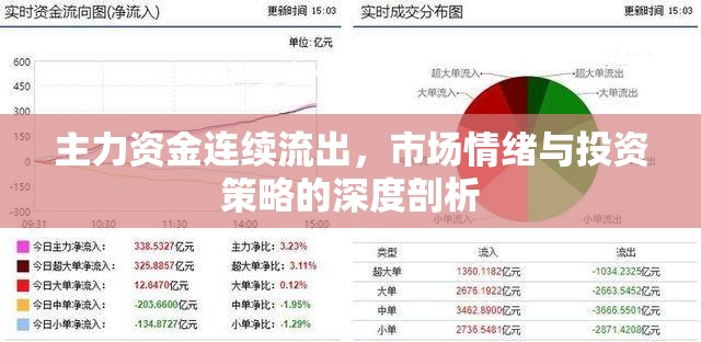 主力資金連續(xù)流出，市場情緒與投資策略的深度剖析