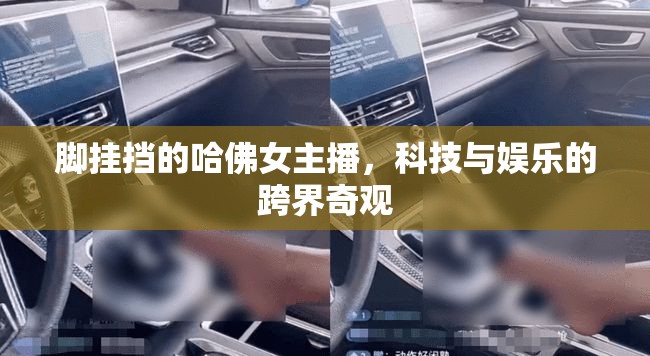 腳掛擋的哈佛女主播，科技與娛樂的跨界奇觀
