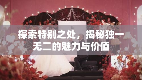 探索特別之處，揭秘獨(dú)一無二的魅力與價(jià)值
