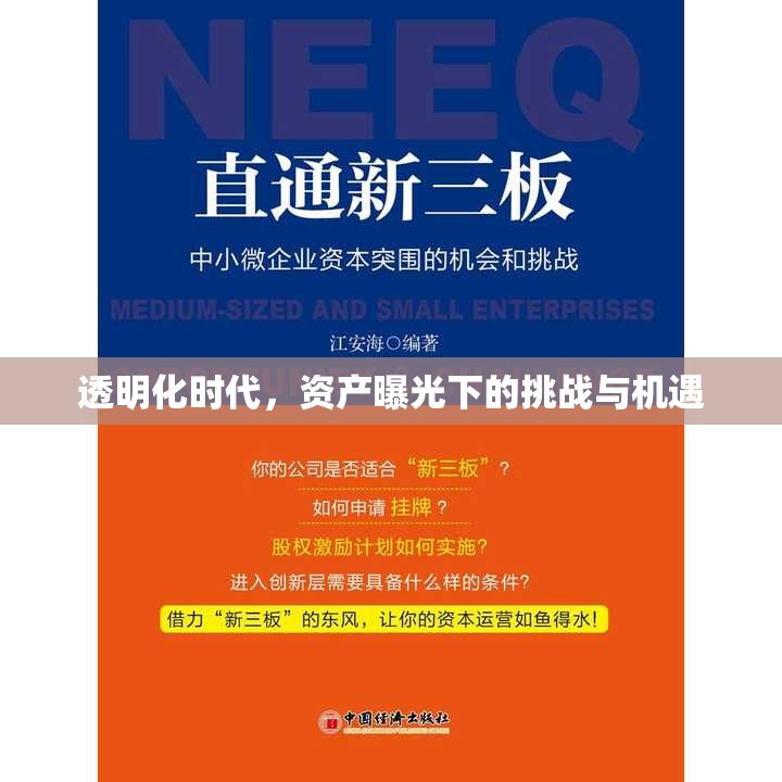 透明化時(shí)代，資產(chǎn)曝光下的挑戰(zhàn)與機(jī)遇